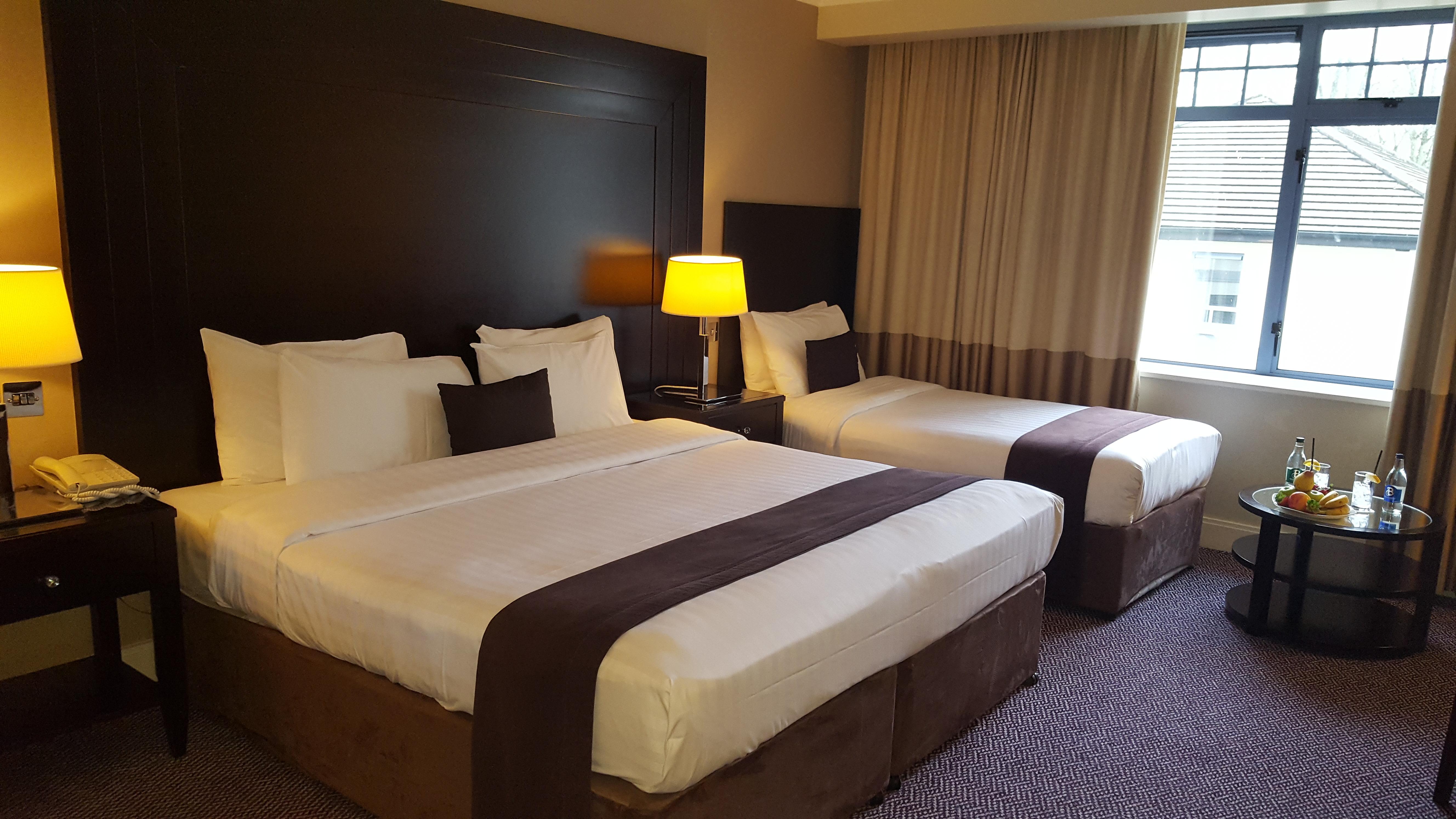 Shamrock Lodge Hotel Athlone Bagian luar foto